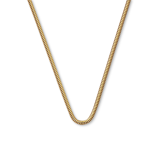 Gold Snake Chain Necklace
