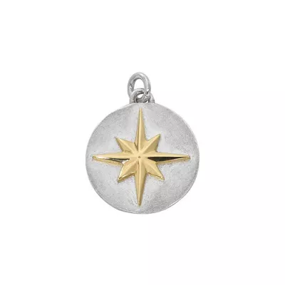 Silver and Gold Compass Rose Disc